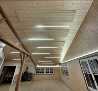 die neue Decke: ambiente Beleuchtung, schalld&auml;mmendes T&auml;fer