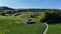 Umgebung, Lage: Rebberge, W&auml;lder, Wiesen