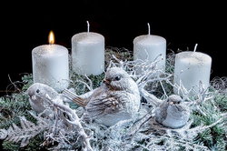1. Advent